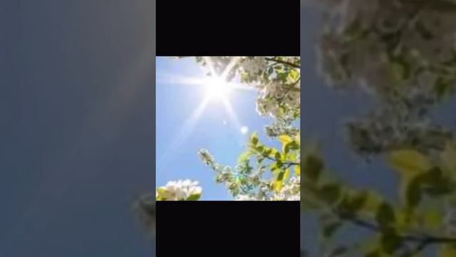 Ты доча драгоценная моя Исполняет Светлана Самарянка. Текст Татьяна Демина. смотреть онлайн