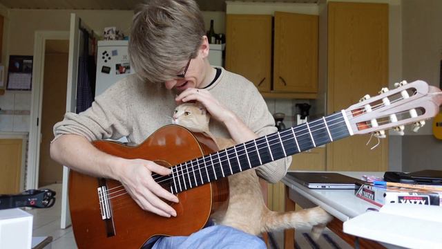 An die Freude / Ode to Joy - Beethoven. Guitar Cover with TABS смотреть онлайн