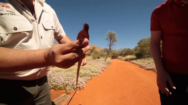 Alice Springs Desert Park, Alice Springs Region смотреть онлайн