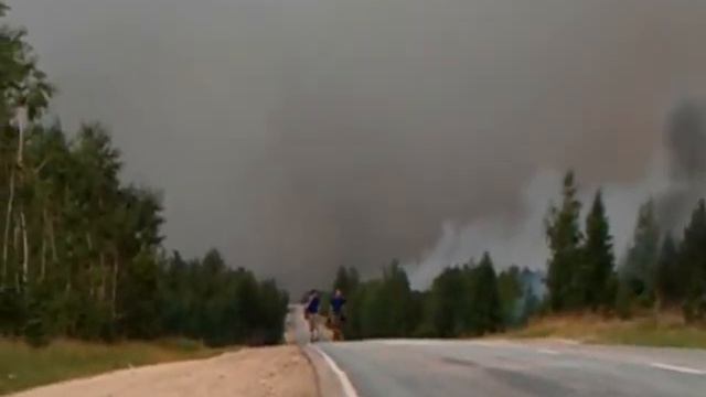 пожар в санарском бору смотреть онлайн