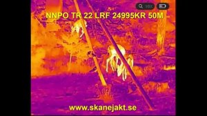 NNPO TR22-335 LRF