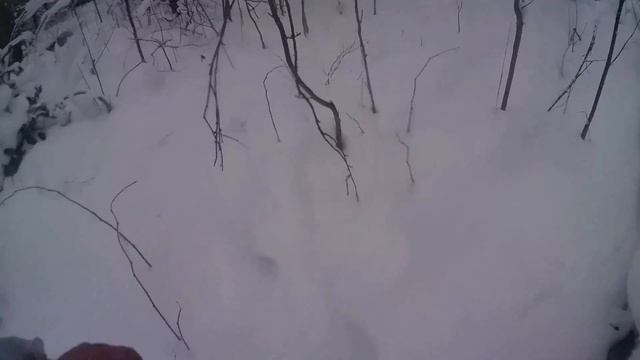 попытка добыть лося, лось есть но под сабакой не стоит смотреть онлайн