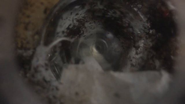 M&M’s в блендер! Видео в слоу мо! Эксперименты на дому смотреть онлайн
