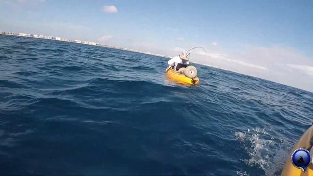 DEEP BLUE Kayak Fishing Charters - December Sailfish смотреть онлайн
