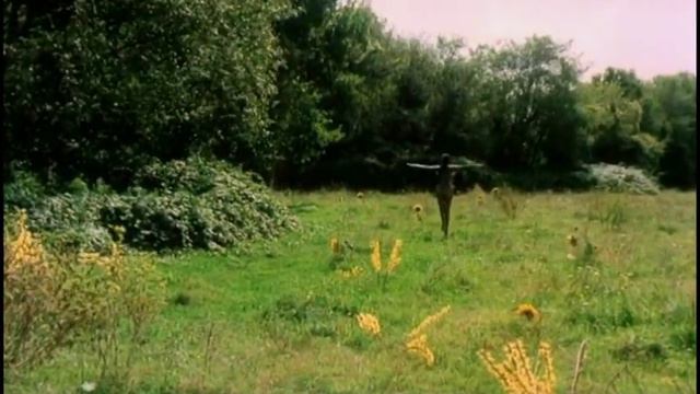 Свободная частица.(Тимур Шаов) смотреть онлайн