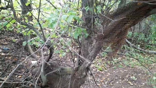 КОП В ЛЕСУ ВОЗЛЕ ПОЛЕЙ.ОТЛИЧНЫЙ РЕЗУЛЬТАТ смотреть онлайн