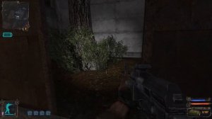 ИДЁМ К БОРОВУ В ТЁМНУЮ ДОЛИНУ ► S.T.A.L.K.E.R.:Shadow of Chernobyl ► Прохождение #4