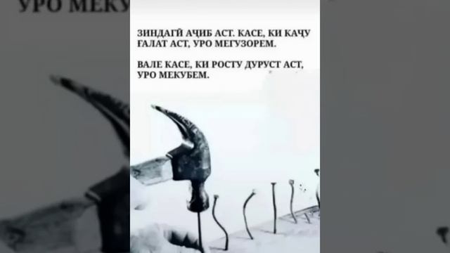 Суханҳои "ТИЛЛОИ" АЗ БУЗУРГОН. Дар бораи "ЗИНДАГӢ" Фозил Собиров. Fozil Sobirov. смотреть онлайн