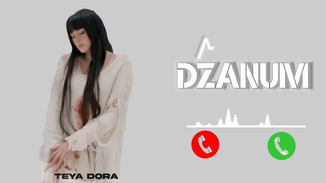 Dzanum Music Ringtone Download Now ⬇️ Best Ringtone New English Ringtone | Reels Song