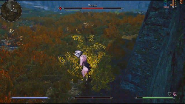 Skyrim Special Edition Phần 51: Dynamic Random Female idle animations OAR смотреть онлайн