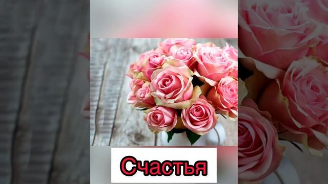Любимая Гаяне смотреть онлайн