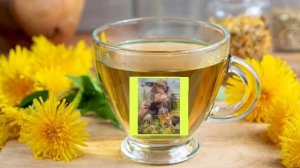 чай из одуванчиков: Полезные свойства и противопоказания.