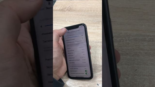 8 ноября 2023 г.