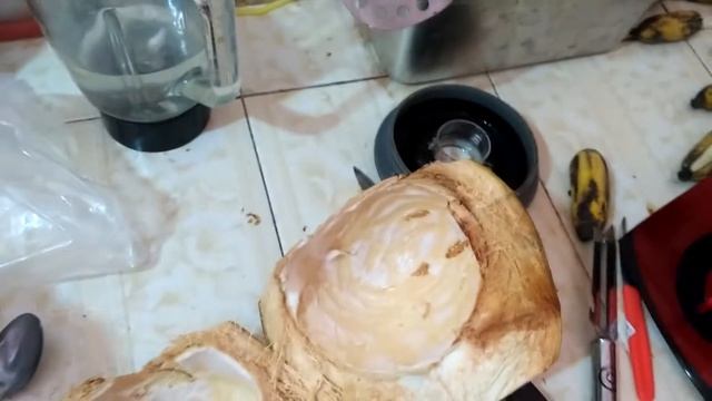 Сыроедческая сметана из мякоти камбоджийских кокосов смотреть онлайн