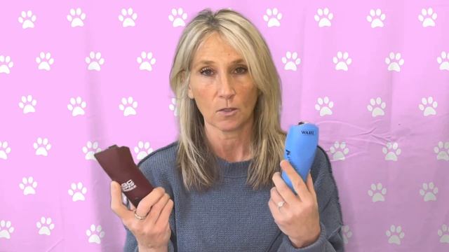 Andis vs. Wahl Clipper Comparison (From A Professional Dog Groomer!) смотреть онлайн