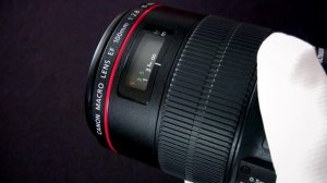 Обзор объектива Canon 100 mm f/2.8 L Macro