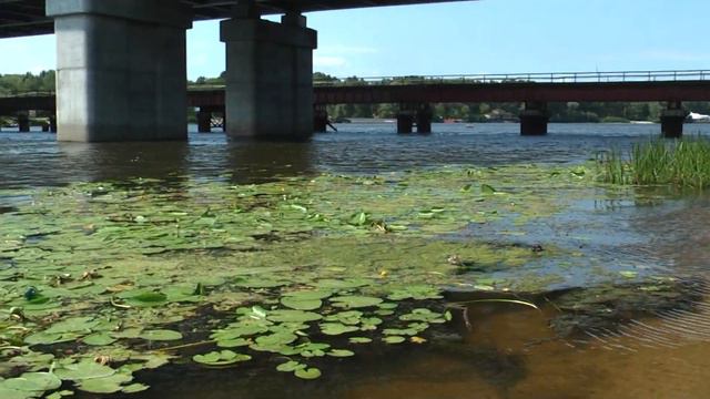 СЕГОДНЯ ПОД МОСТОМ ПОЙМАЛИ смотреть онлайн