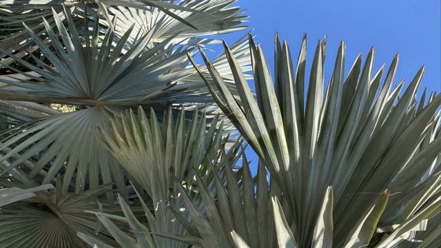 САБЛИМИНАЛ «ИСПОЛНЕНИЕ ЖЕЛАНИЙ» с музыкой 414гц смотреть онлайн