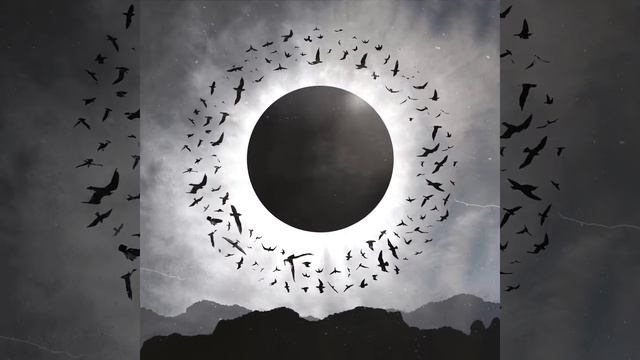Insomnium Shadows Of The Dying Sun Album Animation смотреть онлайн