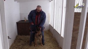 Тригер 42, Как научить собаку, повороты на месте на лево в положении рядом