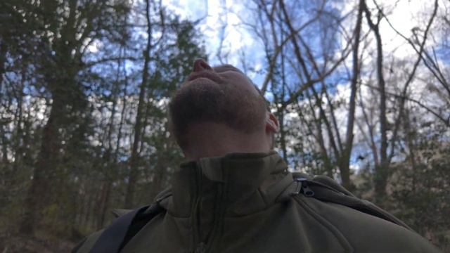 Great Backyard Bird Count with the Nikon Z9 + Bird Autofocus Tested смотреть онлайн