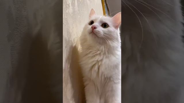 17 октября 2021 г. смотреть онлайн