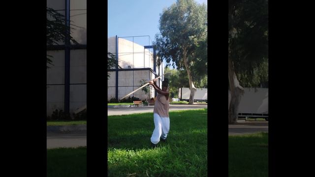 awakening my past life fight training.first attempt 3:00am this morning.Last are from 10:00am смотреть онлайн
