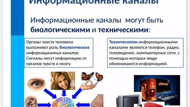 Информатика 5 класс смотреть онлайн