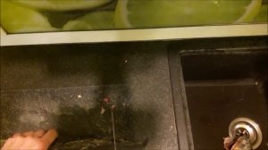 Как снять шкуру с рыбы - Чистим горбушу быстро без грязи.mp4