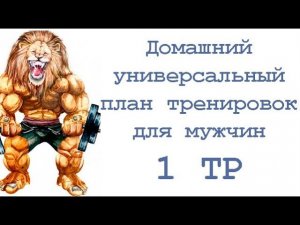 Домашний универсальный план тренировок для мужчин (1 тр)