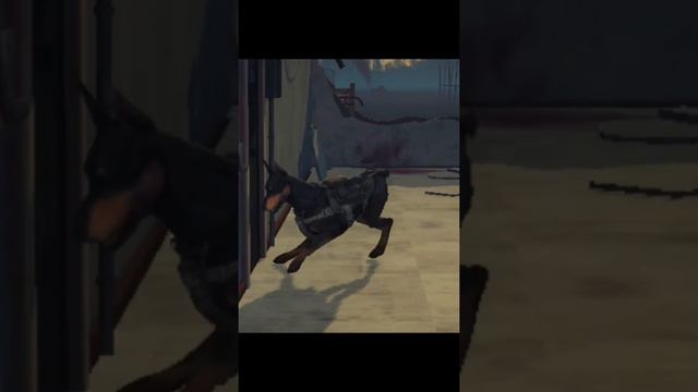 Into the dead 2 Доберман скоро выйдет прохождение событие Доберман смотреть онлайн