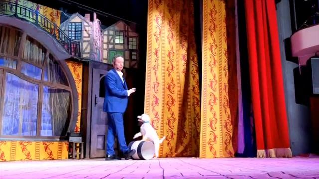 Акция "Ночь театров" в Театре кошек Куклачева смотреть онлайн