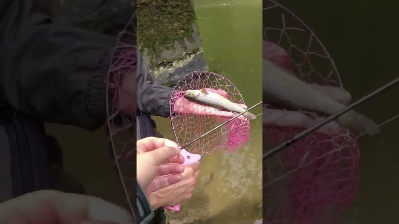 Форель смотреть онлайн