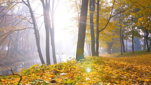 Música De Piano Tranquila Para Comenzar Tu Día Bendecido / Adoración Instrumental