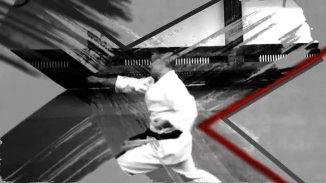 Каратэ Фудокан / World Fudokan 2017/