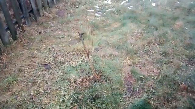 КУПИЛИ ДОМ В ДЕРЕВНЕ!ОБЗОР ДОМА! ЧАСТЬ 1!