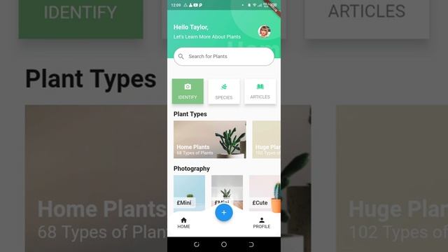 Plants App - Demo | Figma to Flutter | Flutter | Flutter UI Desgining смотреть онлайн