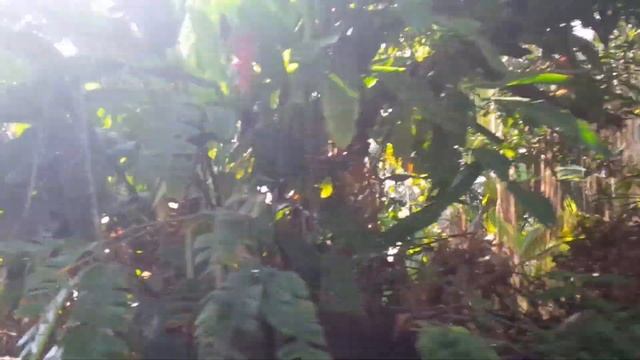 Ещё плавучий рынок Бангкока