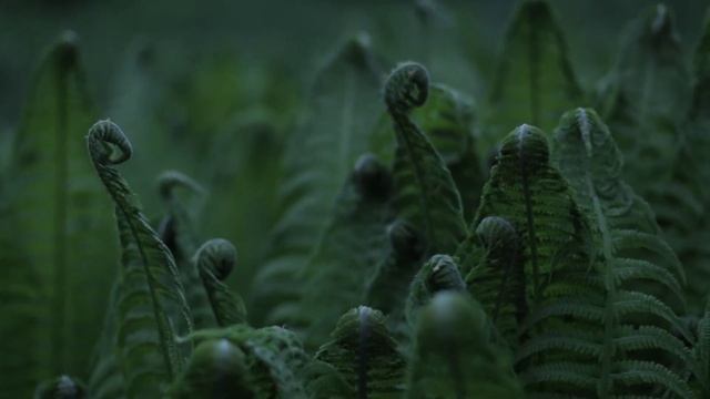 Грустная печальная музыка без слов для фона | Sad sad music without words for background смотреть онлайн