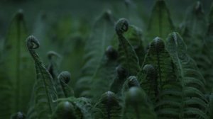 Грустная печальная музыка без слов для фона | Sad sad music without words for background