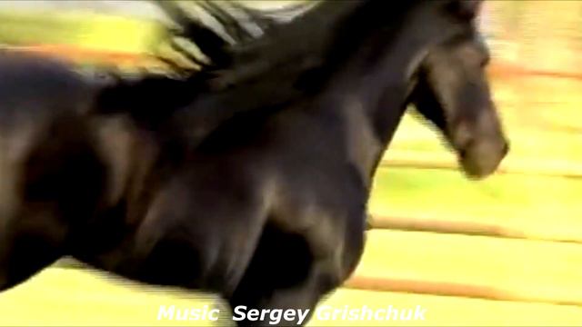 Music for the soul,,MUSIC OF LOVE,,Music Sergey Grischuk смотреть онлайн