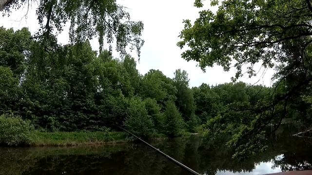Ловля окуня на микроджиг. Лесное озеро. Первое впечатление о NAUTILUS VARVAR Micro Jig. смотреть онлайн