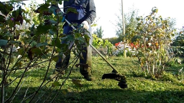 обычный отдых в селе смотреть онлайн