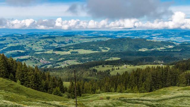 Удивительные истории из жизни людей || История - это интересно