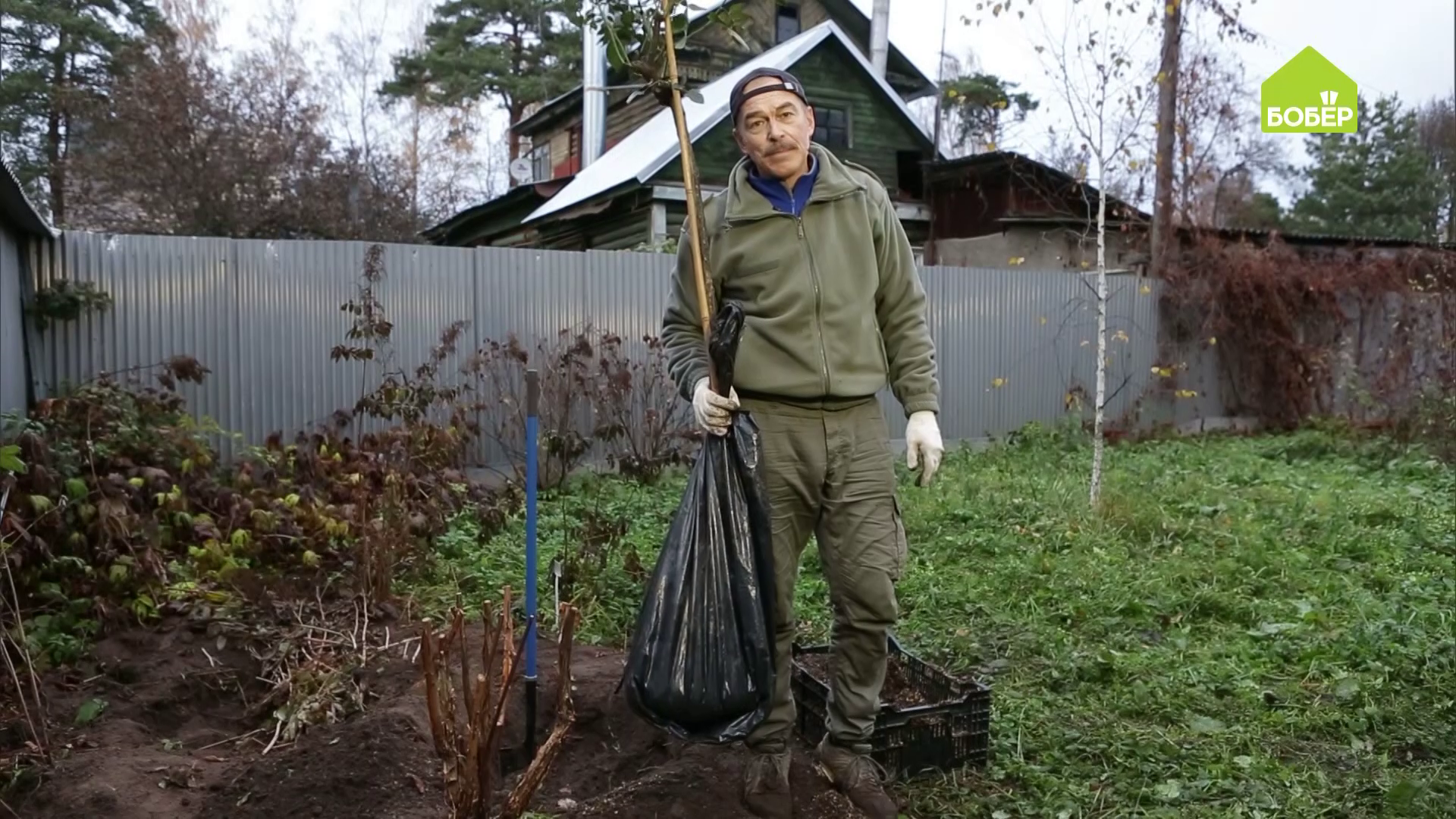 Утепляем штамбовую розу НА ЗИМУ. Как хранить розу зимой. Советы и рекомендации смотреть онлайн
