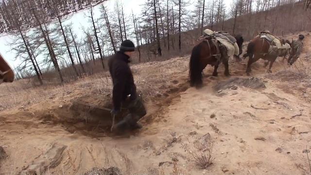 Остатки снежного барса.mp4 смотреть онлайн