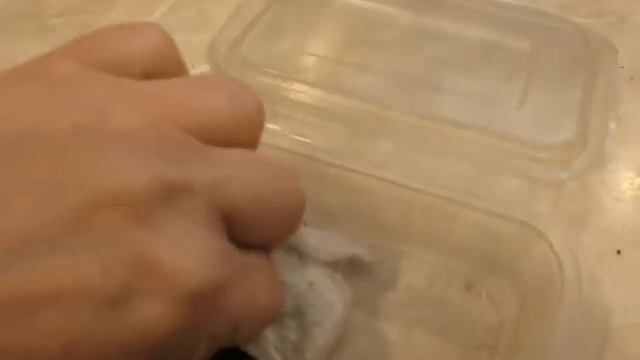 Проращиваю семена хурмы Виргинская крупноплодная смотреть онлайн