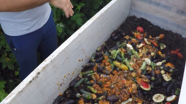 Кормление червей в червячнике фруктами и овощами. Как и чем кормить червей. Витамины для червей. смотреть онлайн