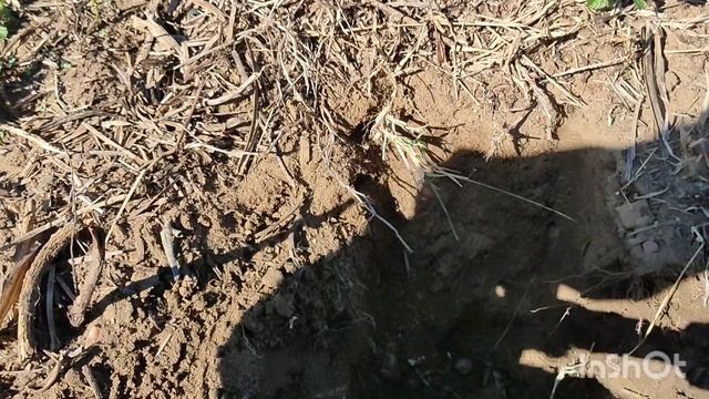 Detectorismo Em Ruínas Do Século 19... GC1071 Metal Detector