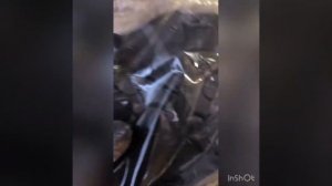 Замена масла в АКПП Toyota vitz ( Тойота Витц ) 2015 год, двигатель 1kr-fe ,своими руками, вариатор